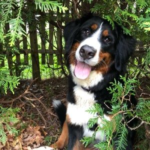 Meet your Posher, Brooklyn